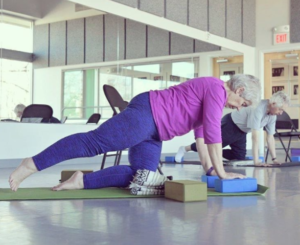 Pilates for Parkinson's Poe Wellness Solutions