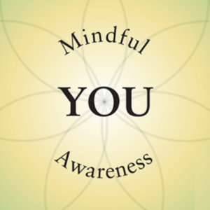 Mindful Awareness and YOU on the Wheel of Health